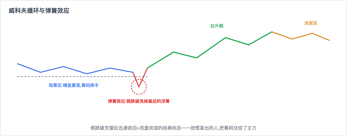 威科夫循环与弹簧效应