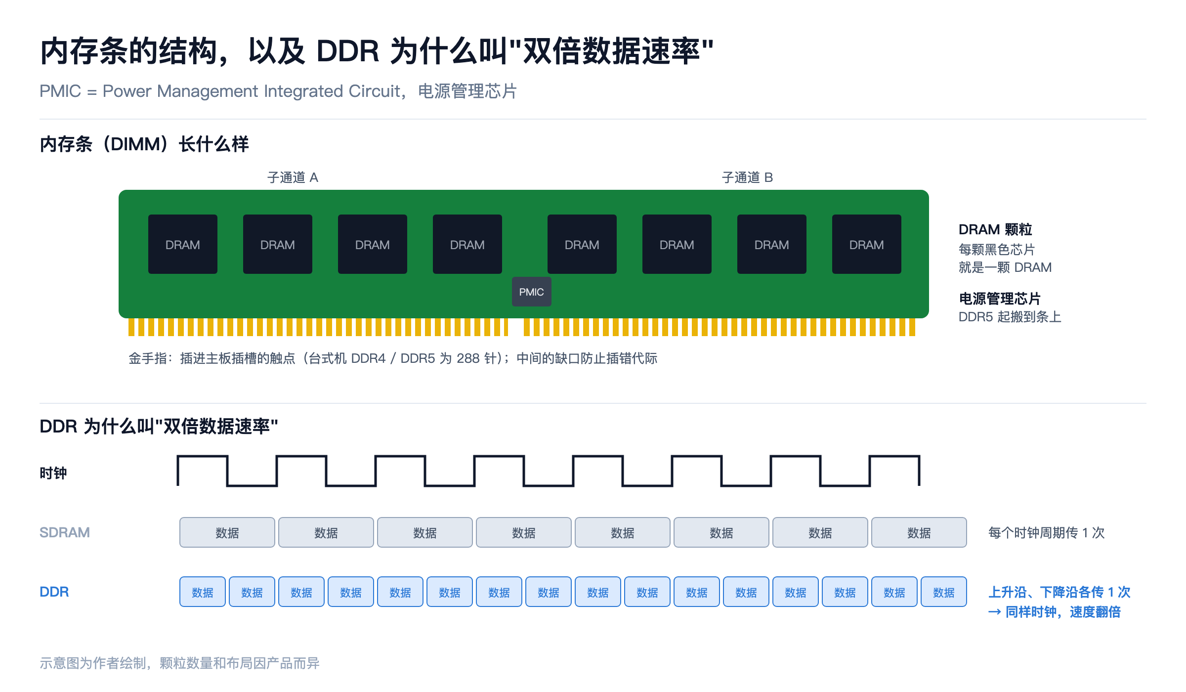 内存条的结构,以及 DDR 为什么叫"双倍数据速率"