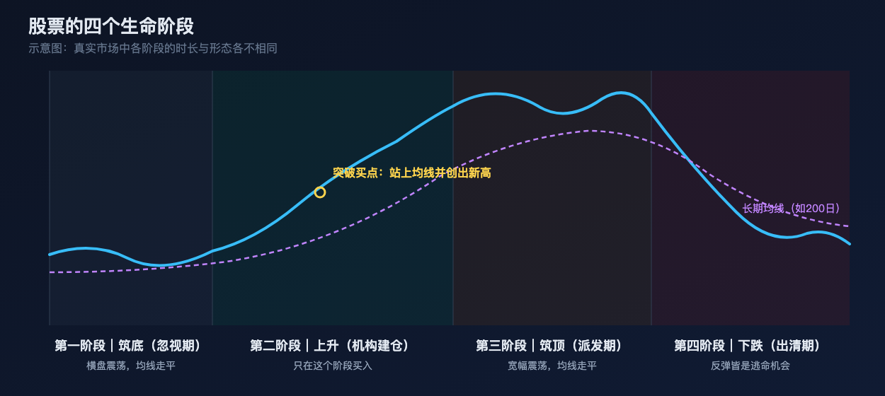 股票的四个生命阶段示意图