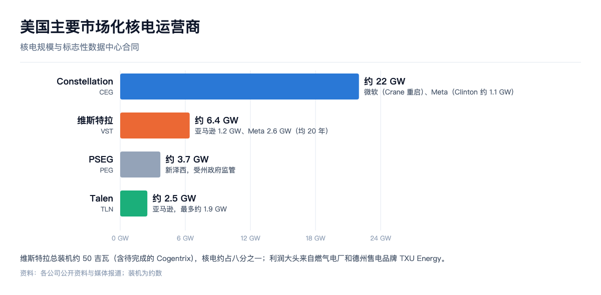 美国主要市场化核电运营商